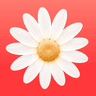Auserene app icon